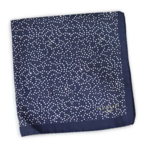 Pochette en soie à motif étoilé Ted Baker
