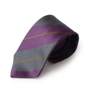 cravate club violette