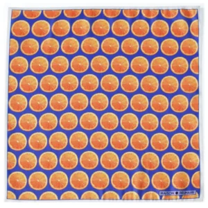 pochette-oranges-aplat