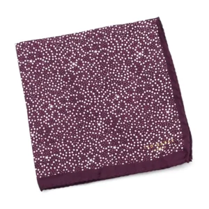 Pochette à subtils motifs d'étoiles Ted Baker