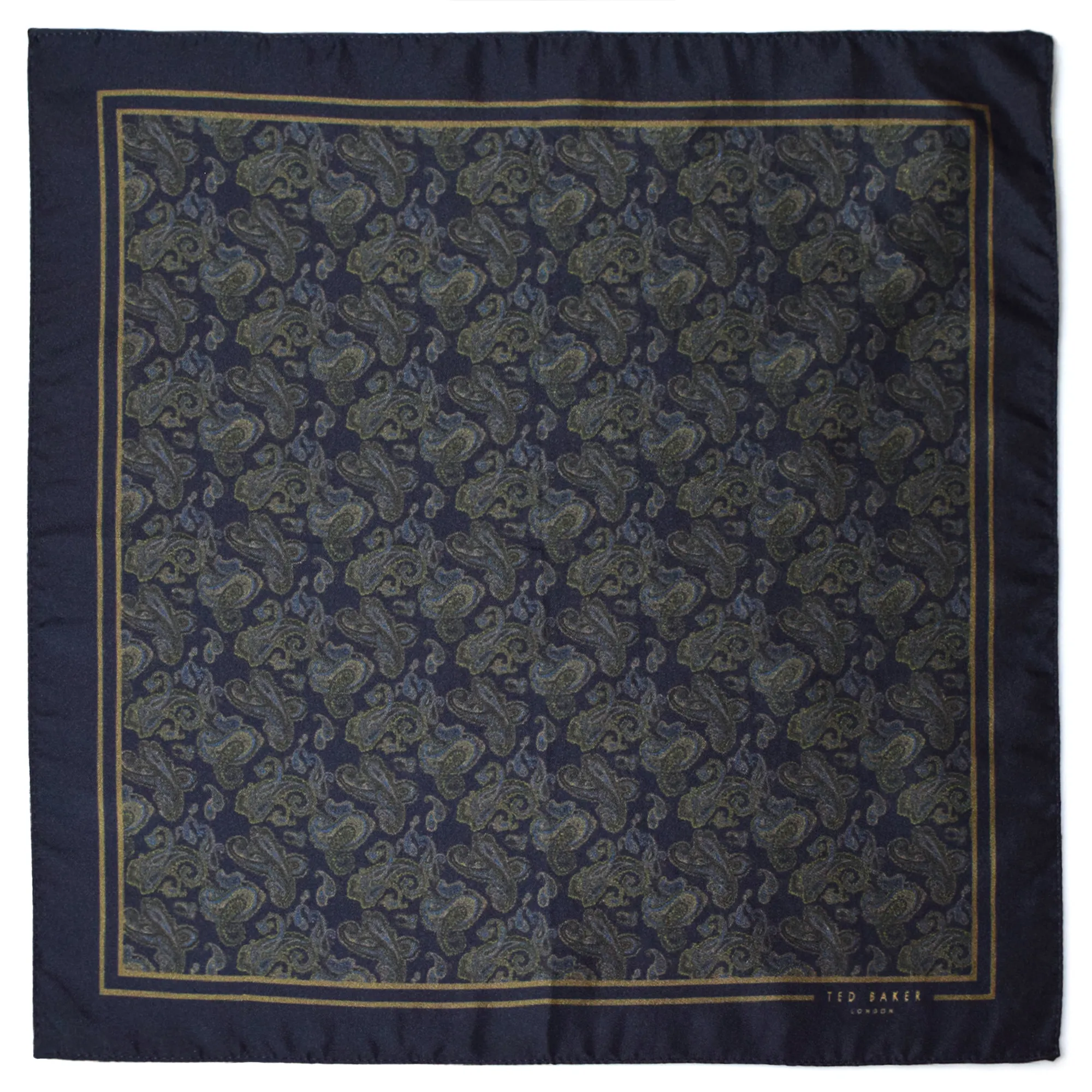 ted-baker-paisley bleu vert a plat
