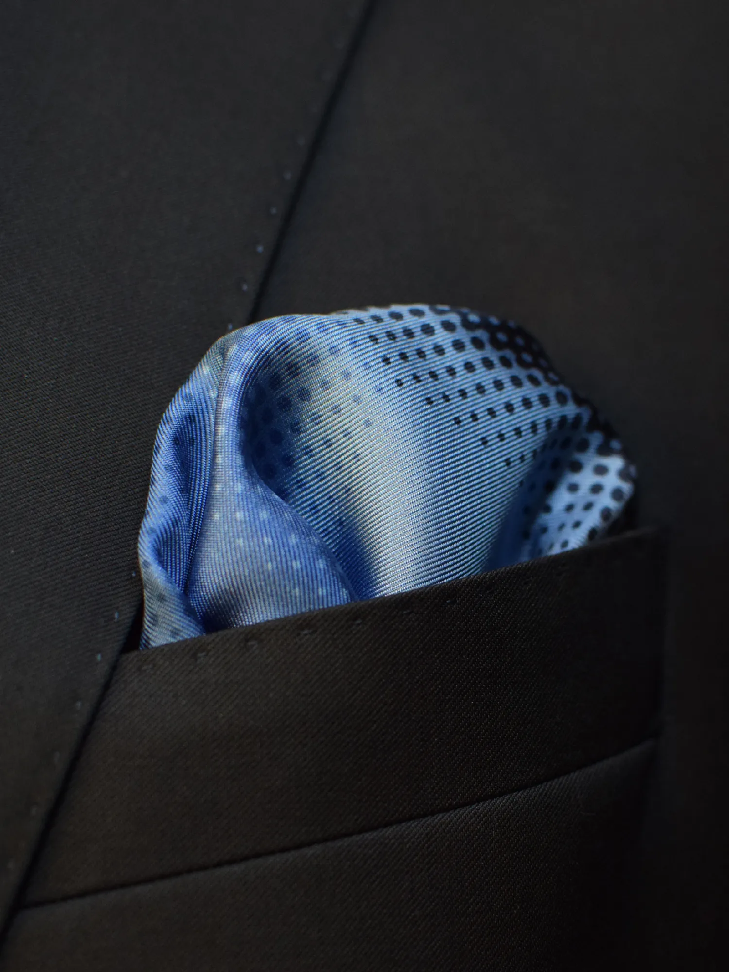 lanvin 4 panneaux bleus